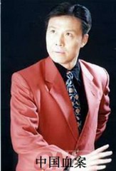 评书中国血案续集(张少佐)