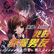 我的侦探男友